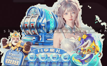对比四家平台 选中这家体验